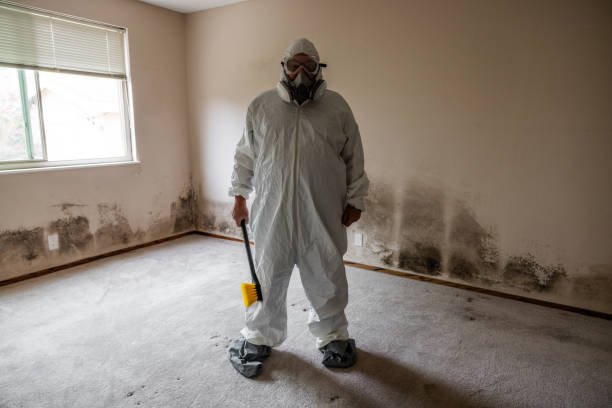 Best Biohazard Mold Removal  in Lisbon, ND